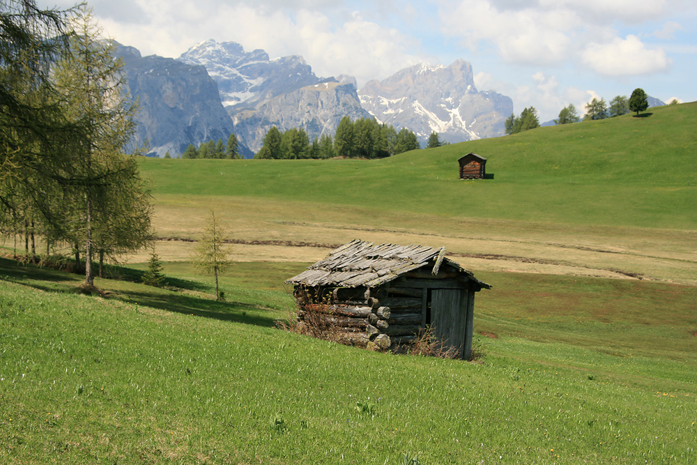 Almenwiesen...