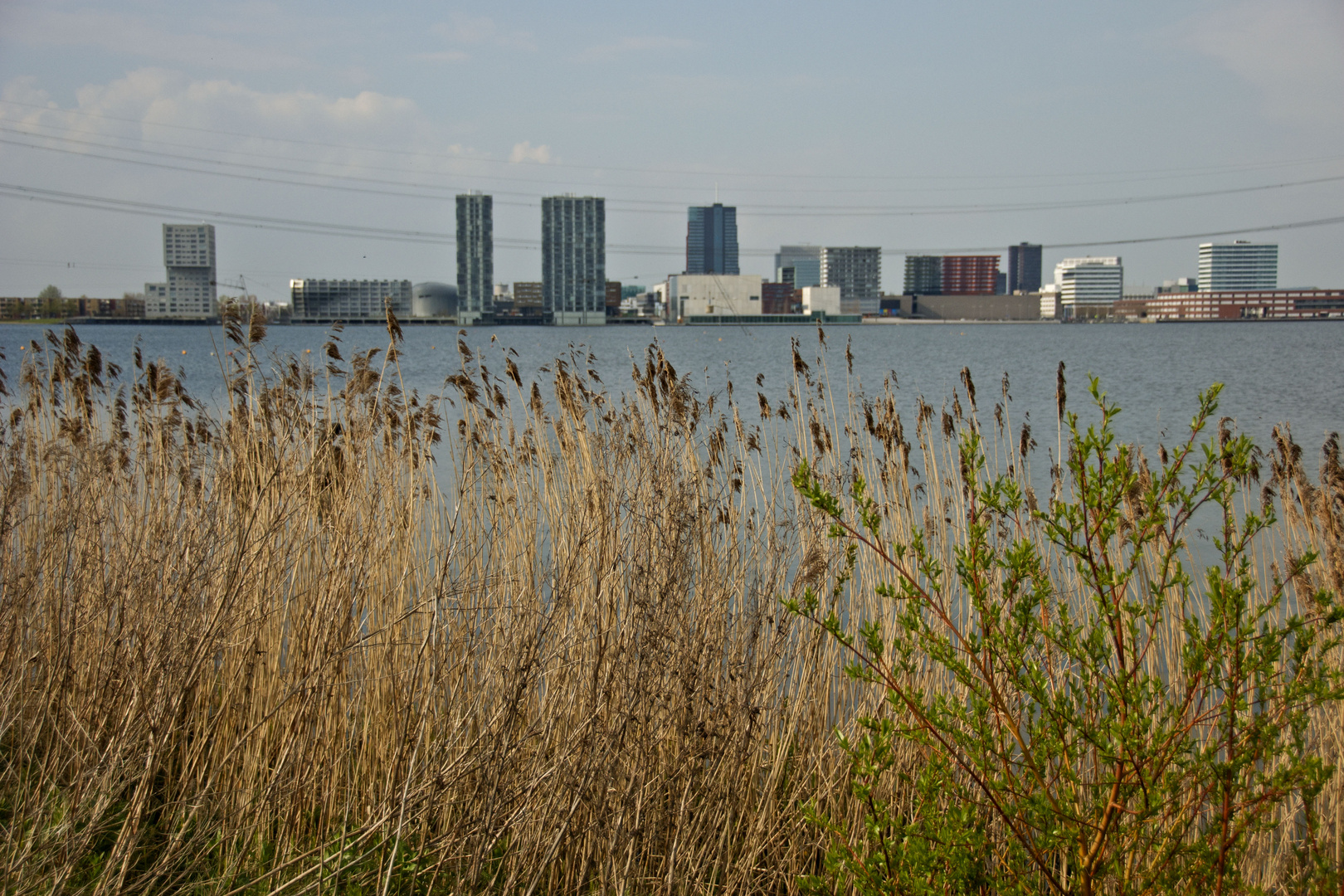 Almere - Bergsmapad - Almere Stad seen from "Weerwater"-pool waterfront - 3