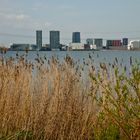 Almere - Bergsmapad - Almere Stad seen from "Weerwater"-pool waterfront - 3