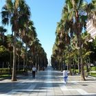 Almeria - Rambla de Amatistero