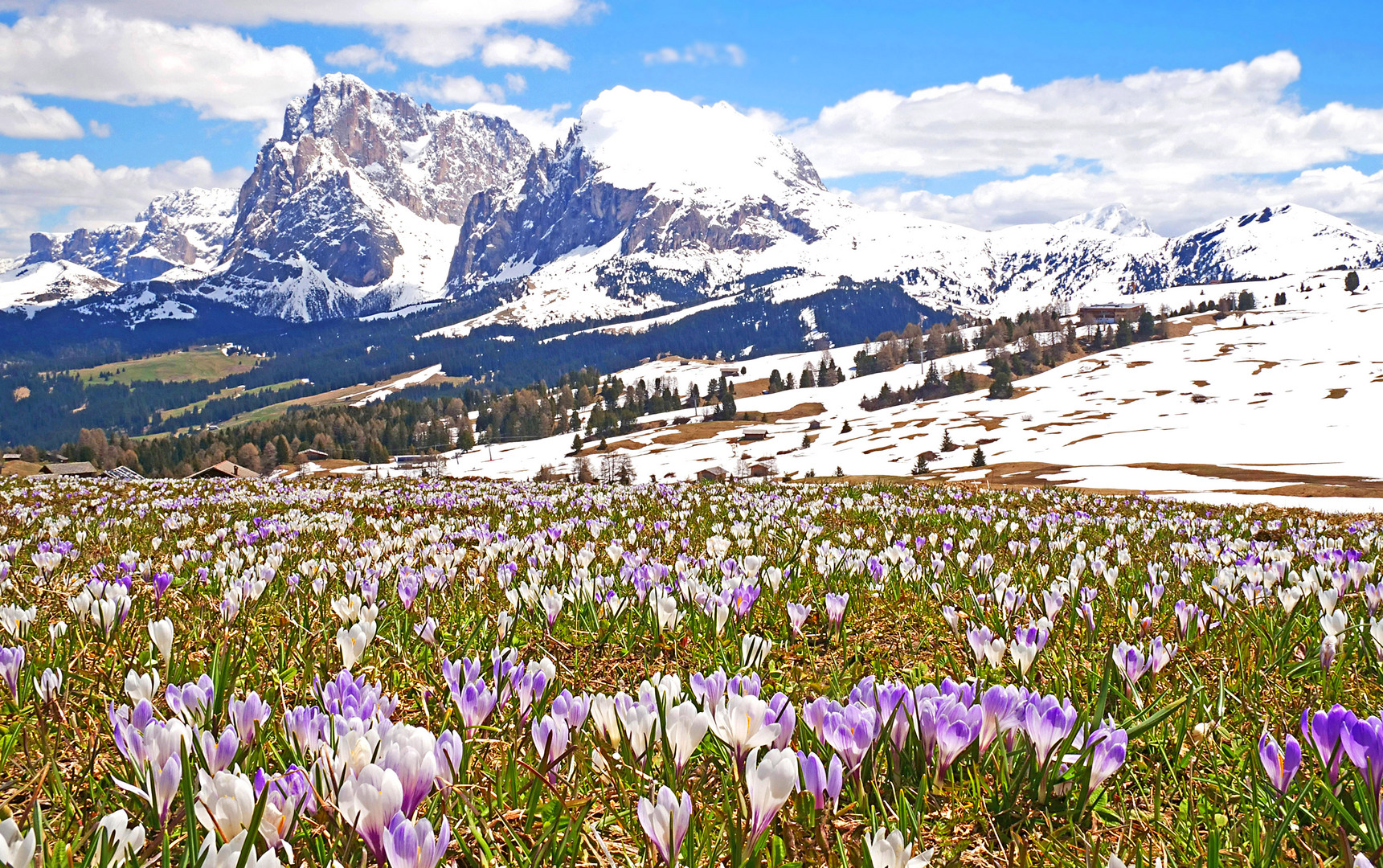 Almfrühling