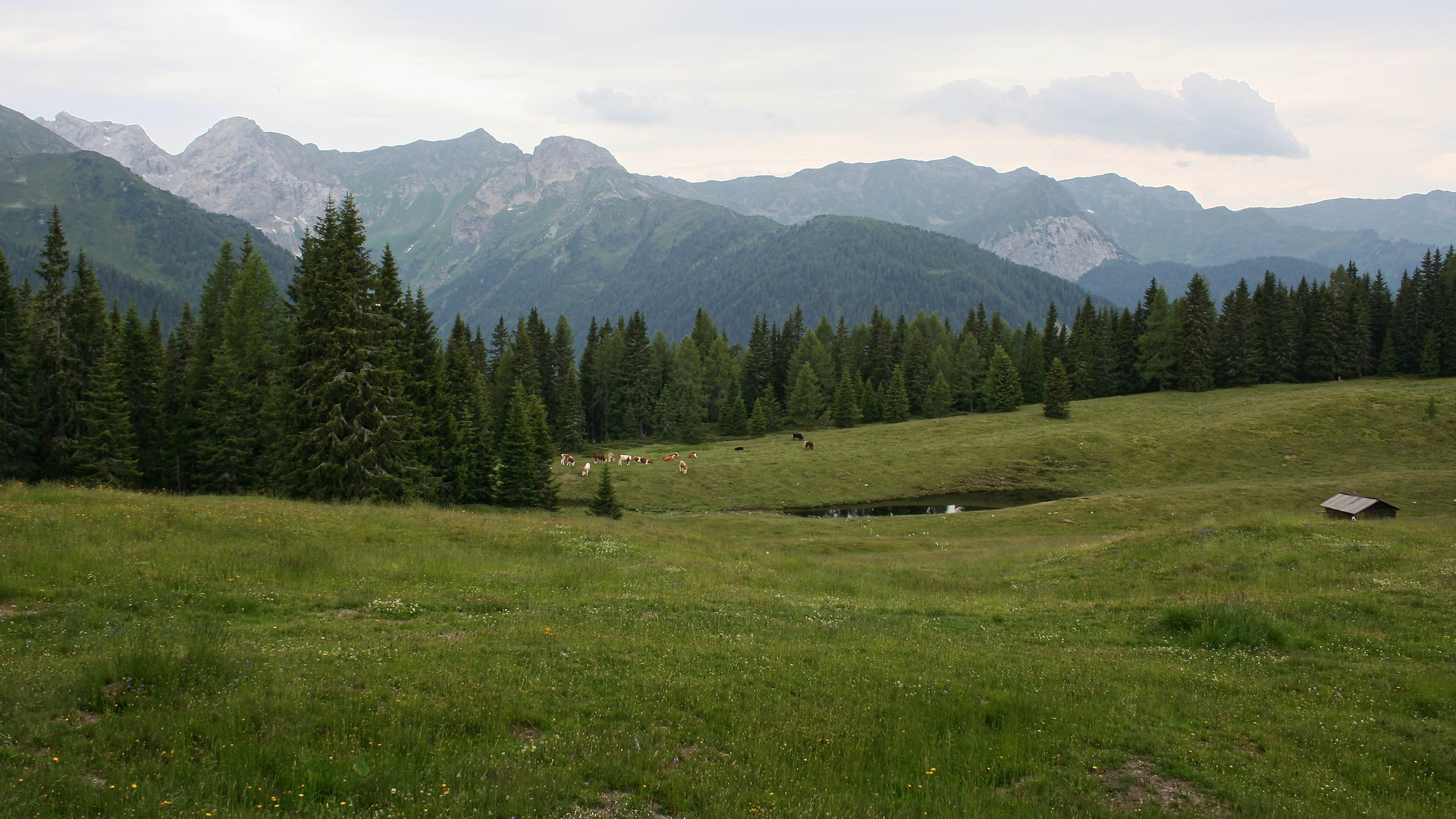 Almgebiet am Gailtaler Höhenweg (IMG_7557_ji)