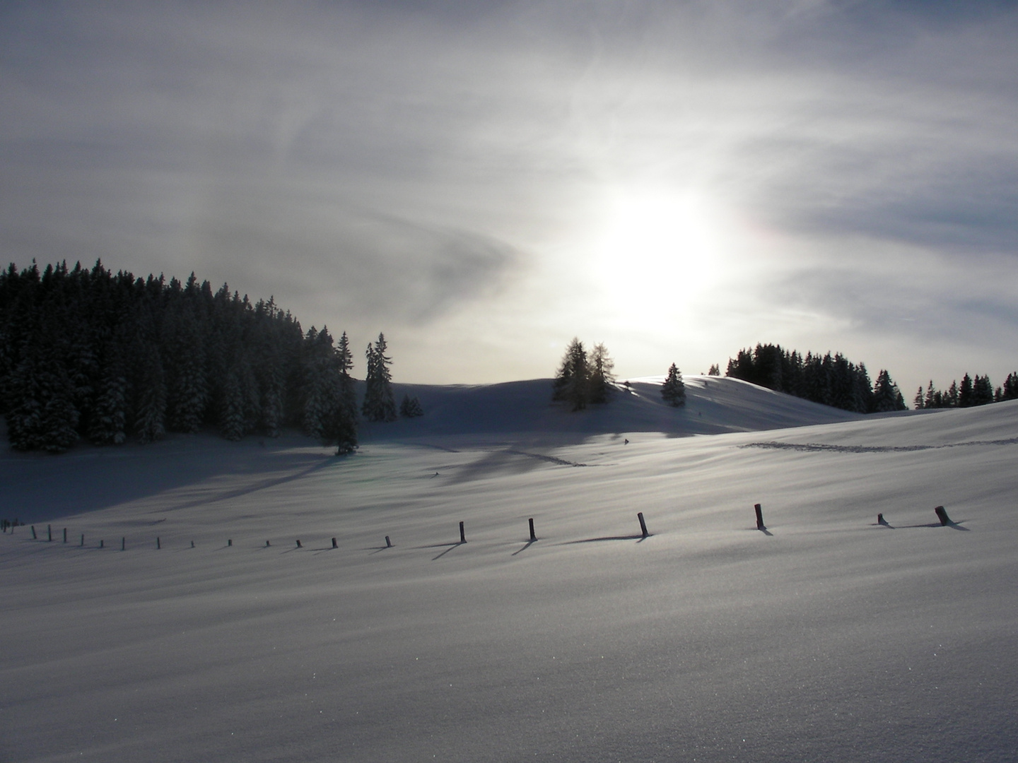 Almgebiet im Winter