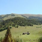 Almgelände Westendorf