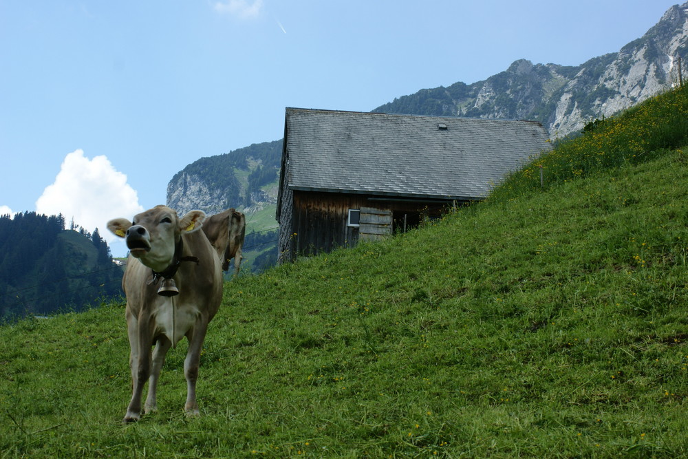 Almhöfe und Hütten 2