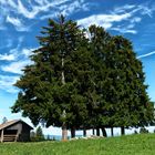 Almhütte Allgäu