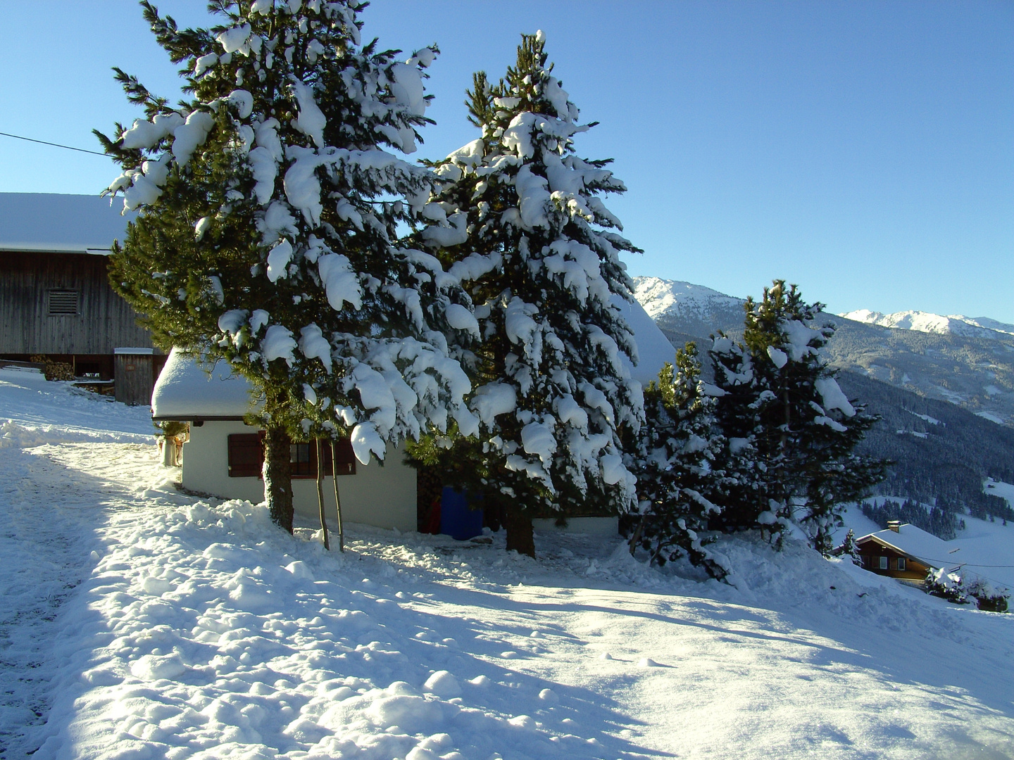 Almhütte am Pillberg