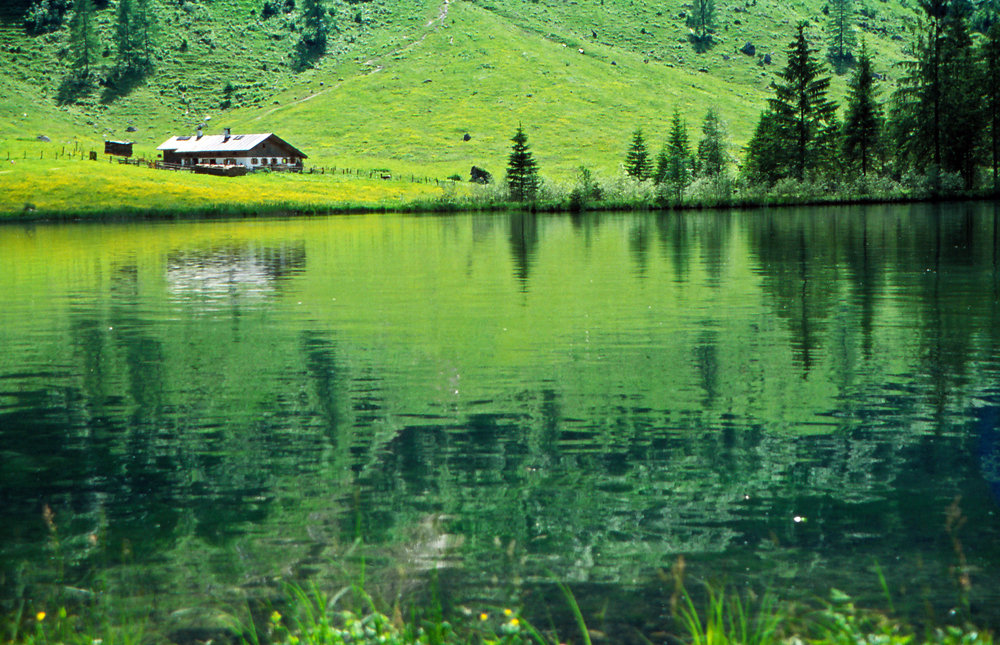  Almhütte auf der Saletalm