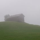 Almhütte im Nebel