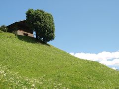 Almhütte in Südtirol