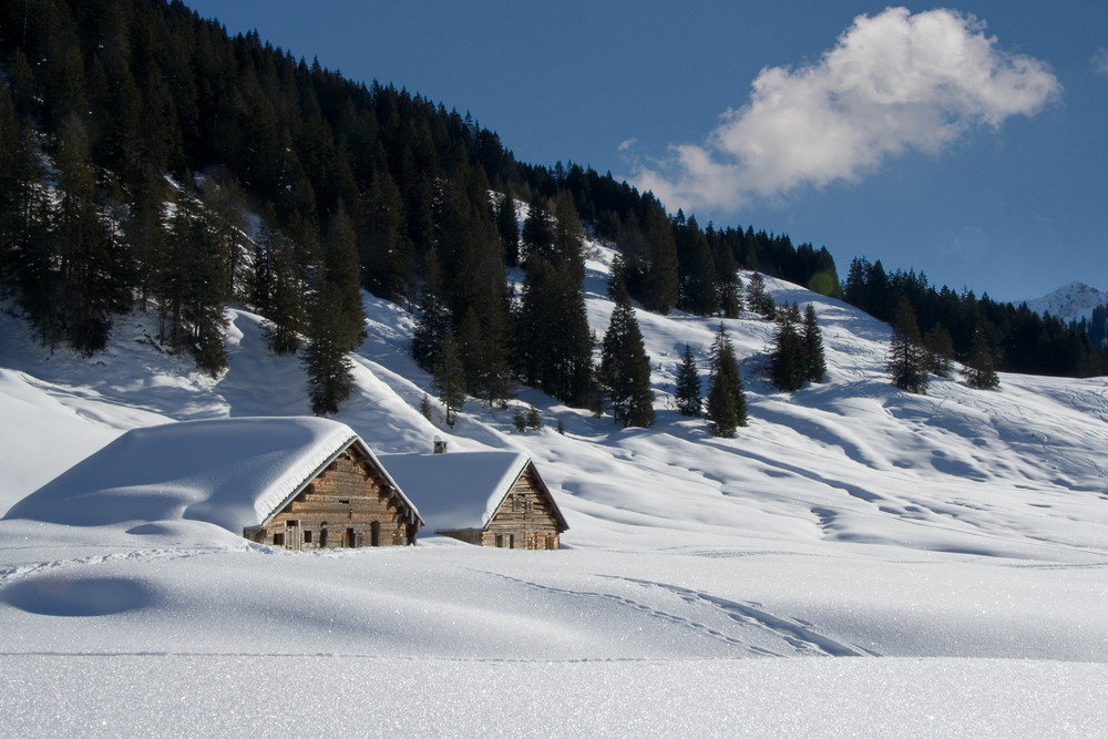 Almhütten in Laterns ( Vorarlberg)