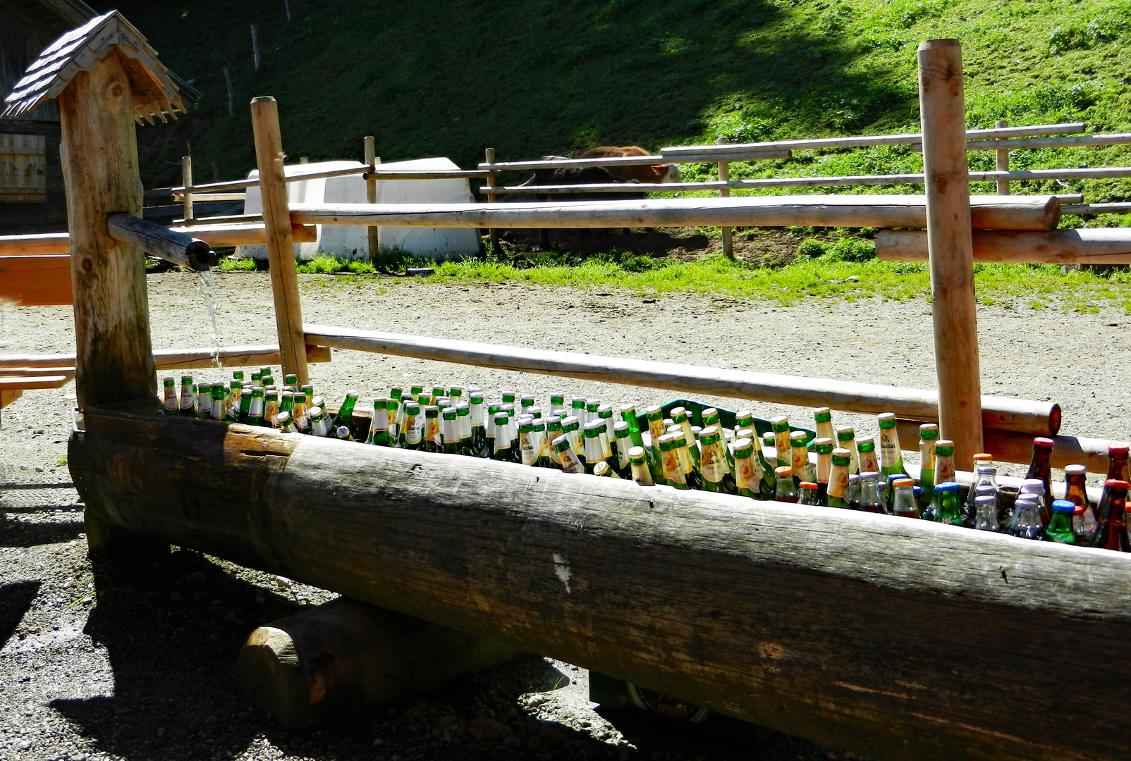 Almkühlschrank in den Kitzbüheler Bergen  :-)