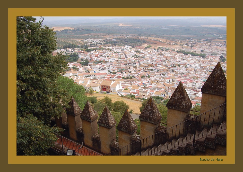 ALMODOVAR DESDE EL CASTILLO