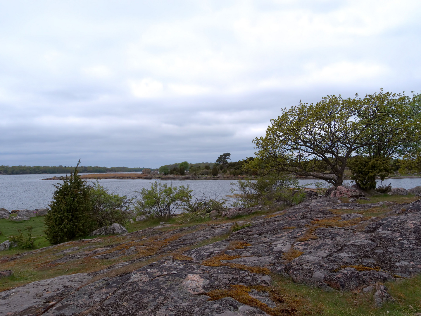 Almö Naturreservat