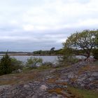 Almö Naturreservat