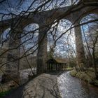 Almondell & Calderwood Country Park