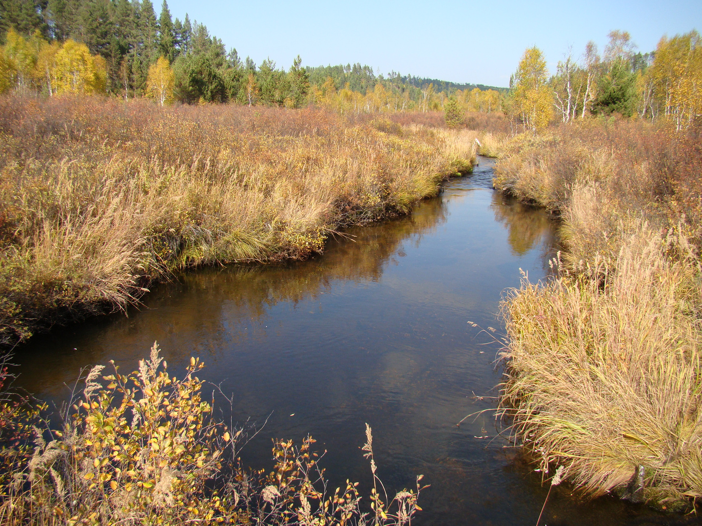 Almost as at Levitan, mellow autumn.