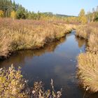 Almost as at Levitan, mellow autumn.