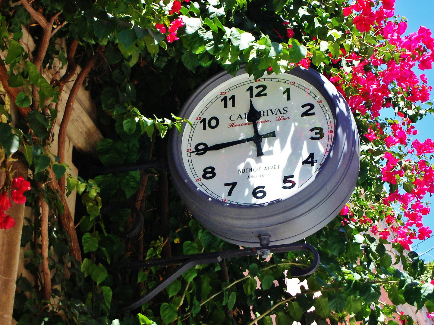 Almost High Noon at Cafe Rivas, Buenos Aires