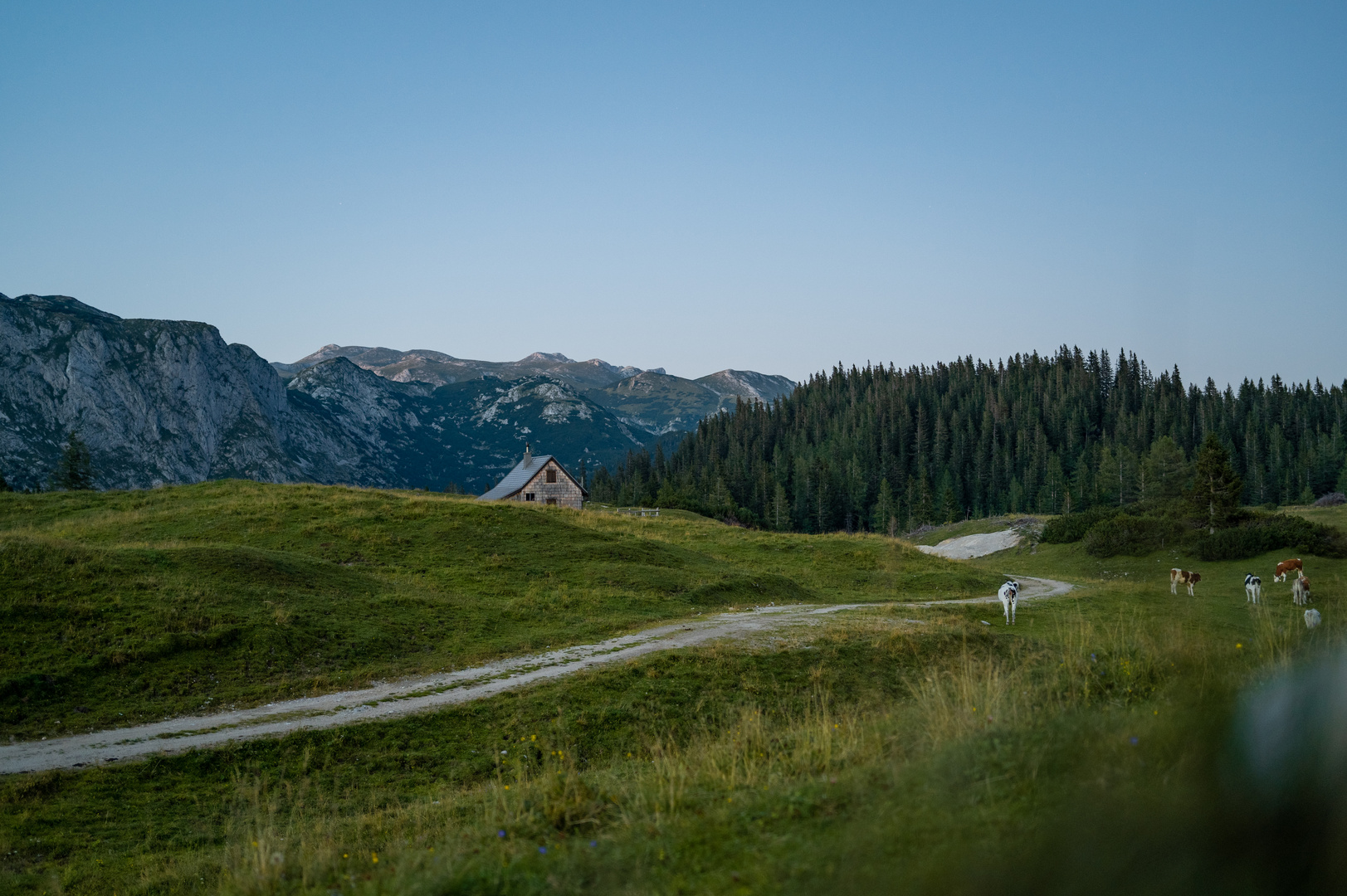 Almplateau Sonnschien (Steiermark)