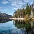 Almsee 13.11.2015 (2)