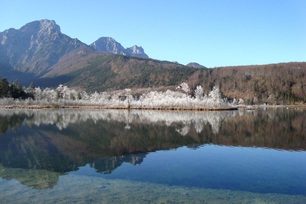 Almsee bei Raureif