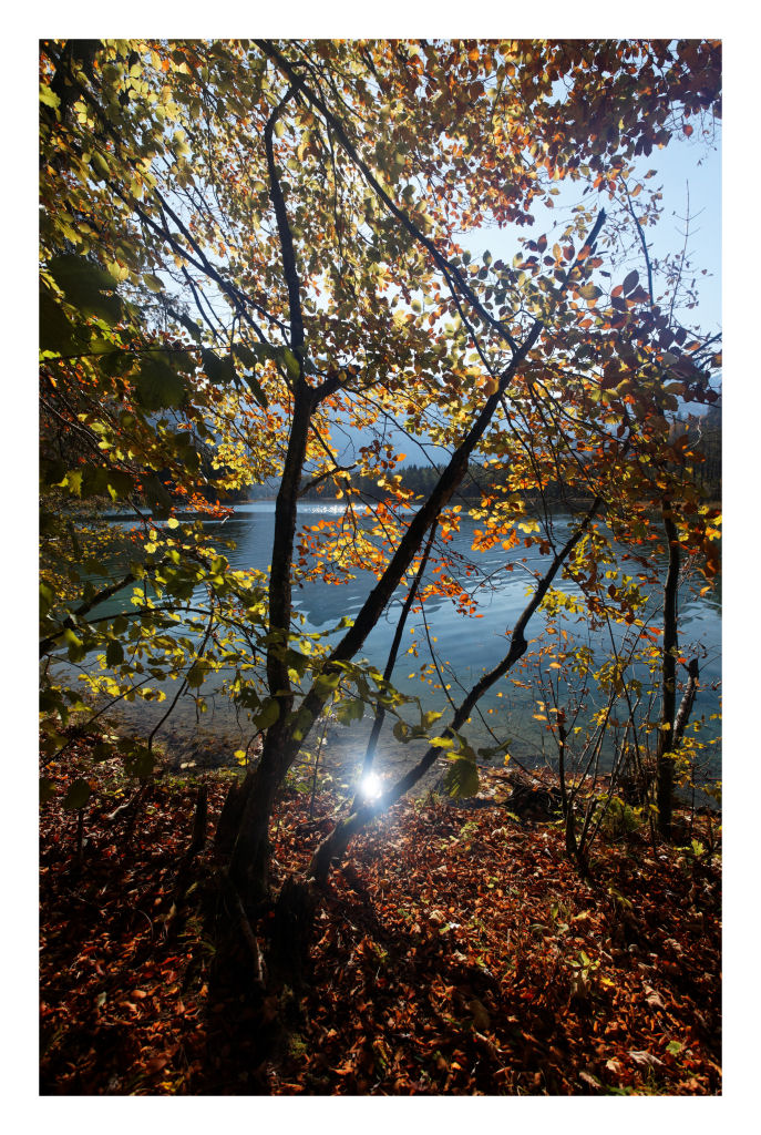 Almsee-Herbst