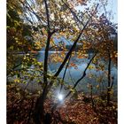 Almsee-Herbst