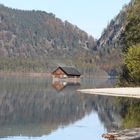 Almsee im Herbst