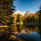 Almsee im Herbst