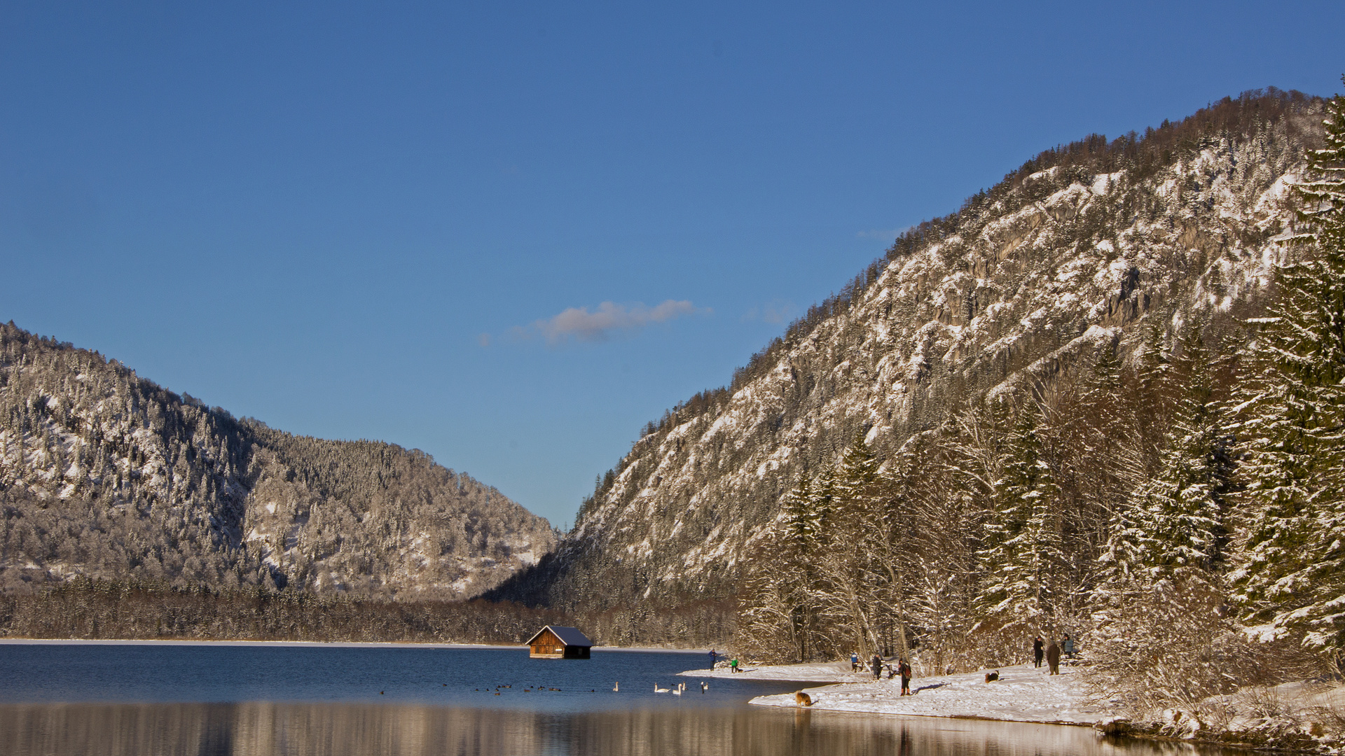 Almsee im Winter