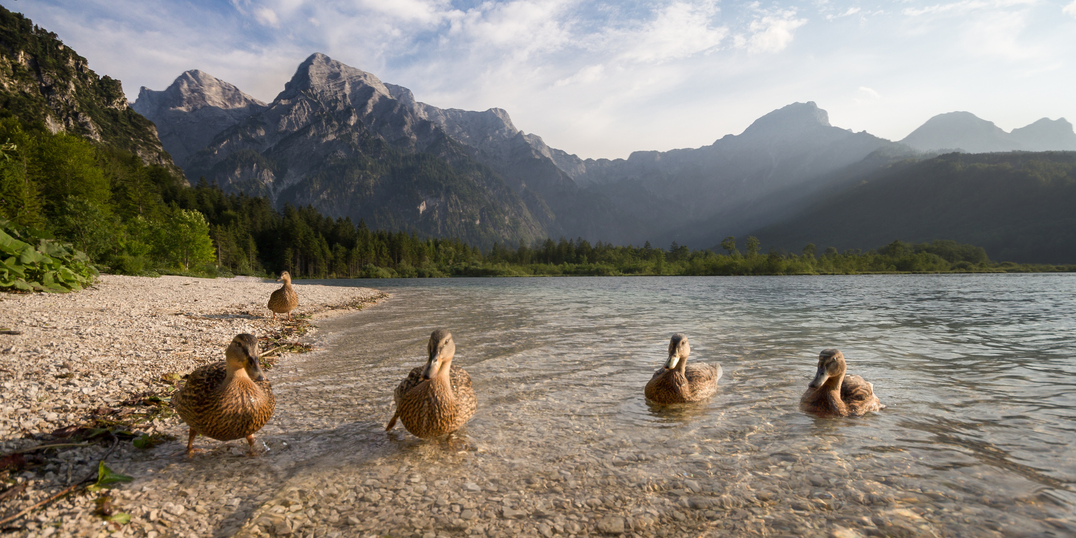 Almsee in Oberösterreich