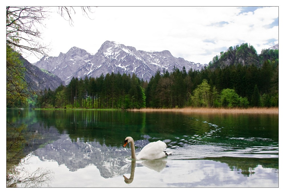 Almsee Oberösterreich