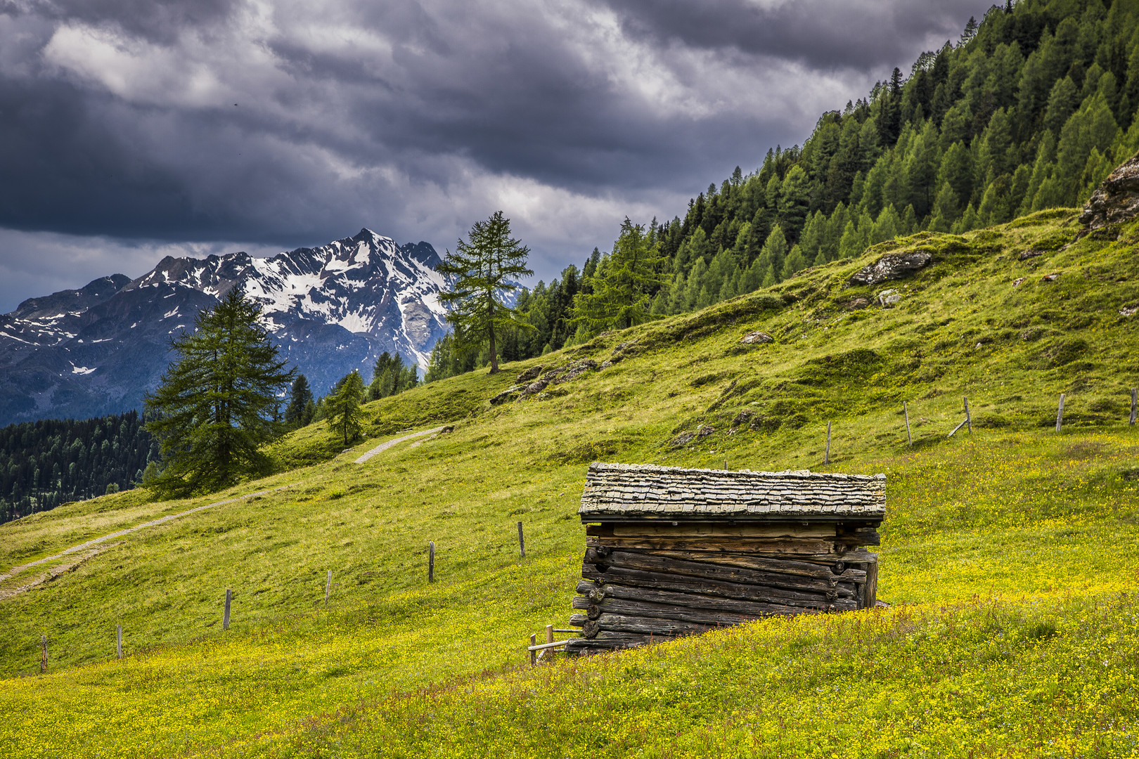 Almsommer im Astental