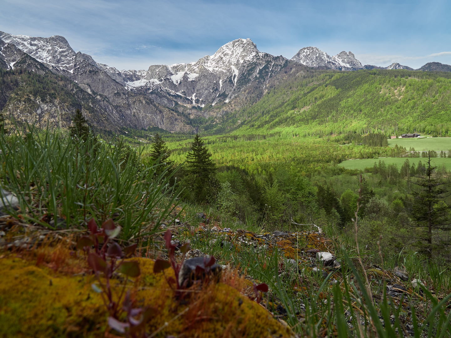 Almtalblick