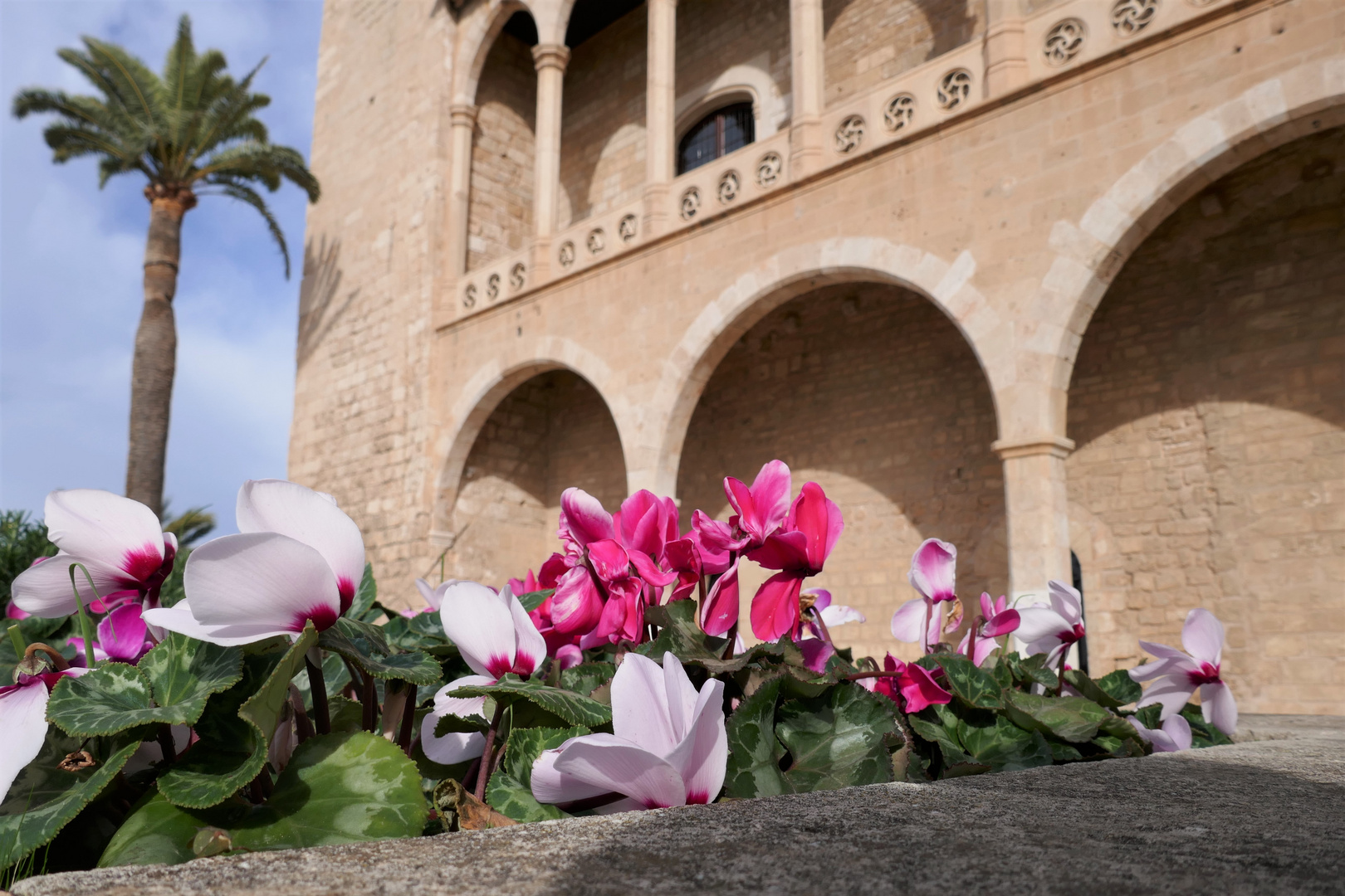 Almudaina Palast in Palma