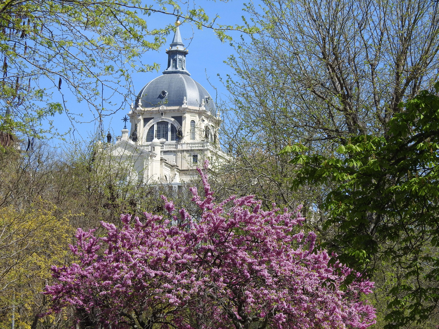 Almudena-Kathedrale Madrid