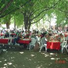 almuerzo en verano, El Rodeo de Moreno Argentina