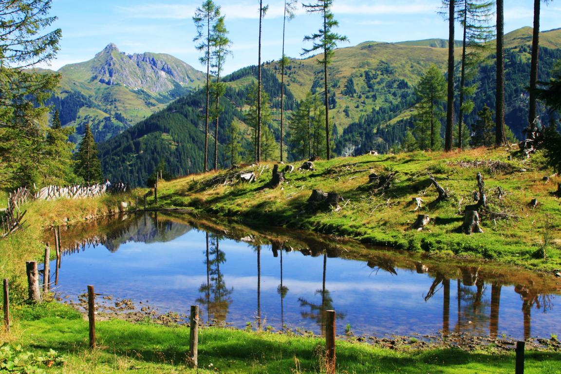 Almwandern im Gr0ßarltal