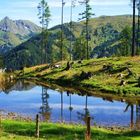 Almwandern im Gr0ßarltal