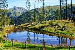 Almwandern im Gr0ßarltal