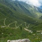 Almweg in den Tuxer Alpen