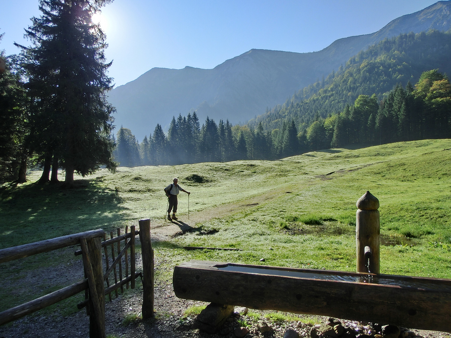 Almwiese im Herbst