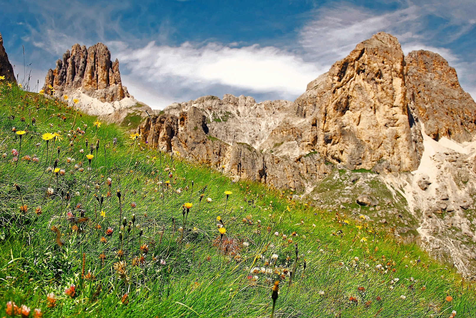 Almwiese im Rosengarten (Südtirol)