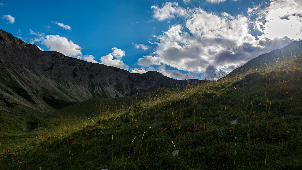 Almwiese in Tirol