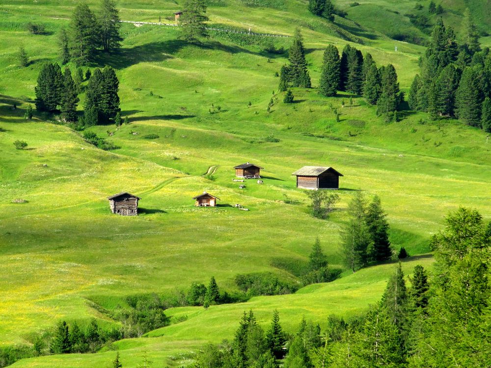 ALMWIESEN AM GRÖDNERJOCH von karo88 