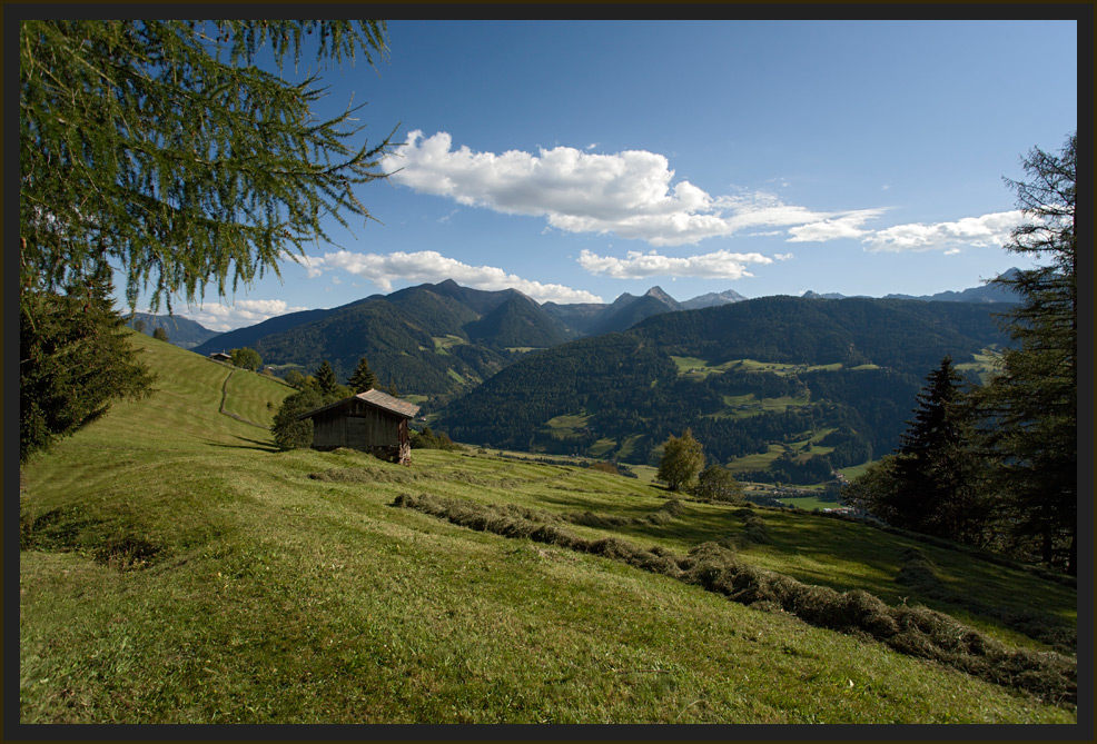 ~Almwiesen bei Obertelfes V~