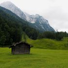 Almwiesen beim Lautersee Nähe Mittenwald