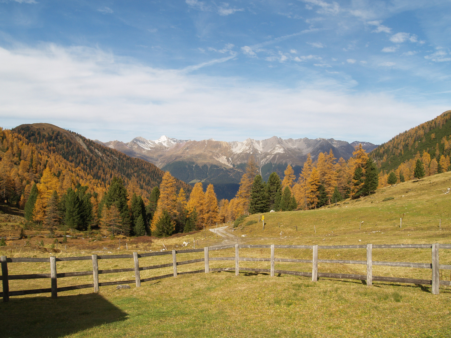 Almwiesen-Berglandschaft Schweiz