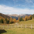 Almwiesen-Berglandschaft Schweiz